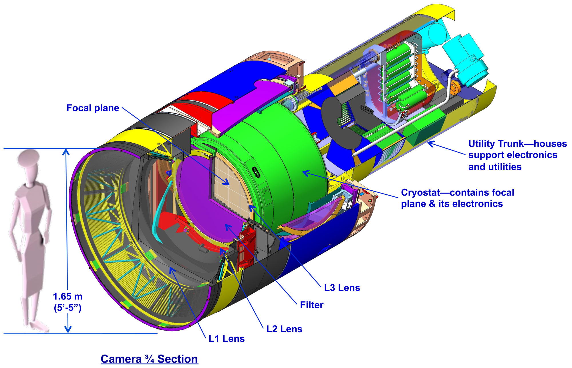 Three-quarter section rendering of the LSST camera showing focal plane, cryostat, corrector lenses, filter, and utility trunk, with a human silhouette for scale.